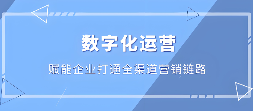武榮網絡：塑造企業數字形象，提升網絡營銷效益