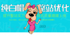 純白帽整站優(yōu)化，提升整站實力，價格親民效果好